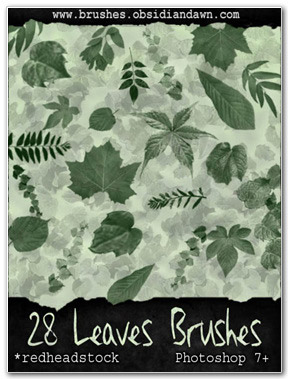 28 Leaves Brushes